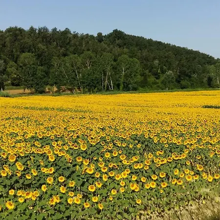 Le Chiavi Di Aietta Εξοχικό σπίτι