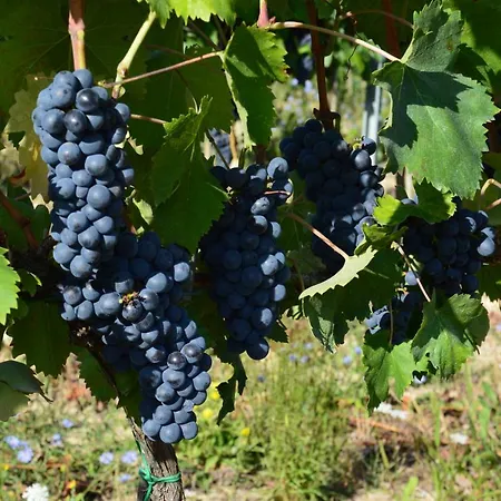 Le Chiavi Di Aietta Εξοχικό σπίτι *